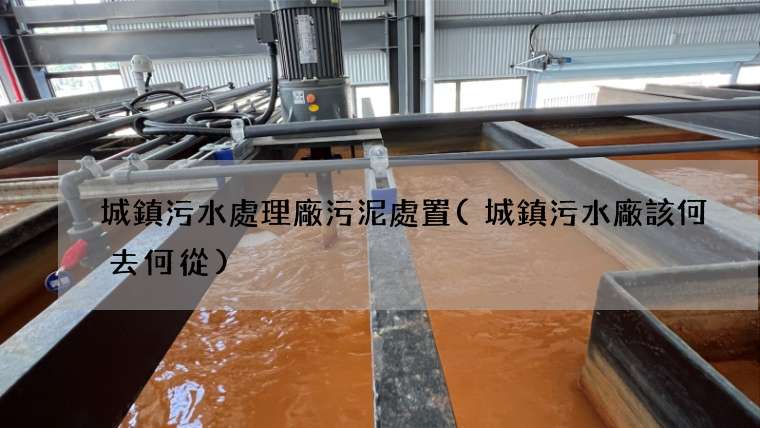城鎮污水處理廠污泥處置(城鎮污水廠該何去何從)